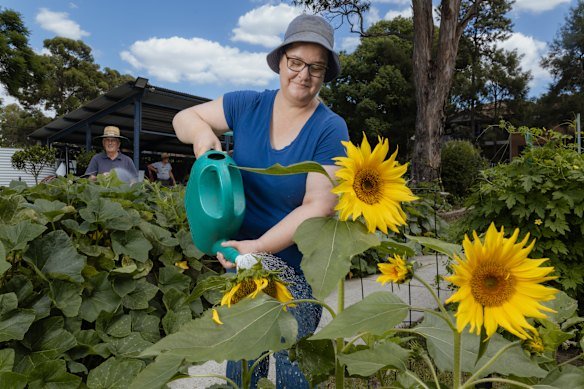 Kristy Wride and Ted Duffy water the pumpkins and sunflowers at the award-winning Wentworthville Community Garden.