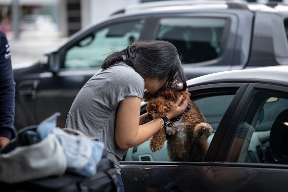 Malini V. farewells her dog, Furphy, at Melbourne Airport last week.