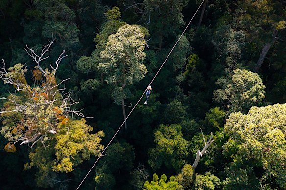 The state has backed a development near Springbrook hoping to create the country’s longest zipline.