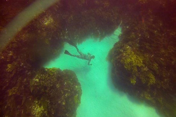 Mattaboni was also a free diver.