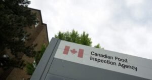 CFIA warns of U.S. outbreaks of pseudorabies in commercial swine