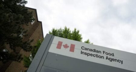 CFIA warns of U.S. outbreaks of pseudorabies in commercial swine