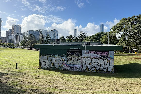 Fire ants were discovered at Musgrave Park in South Brisbane in May. 