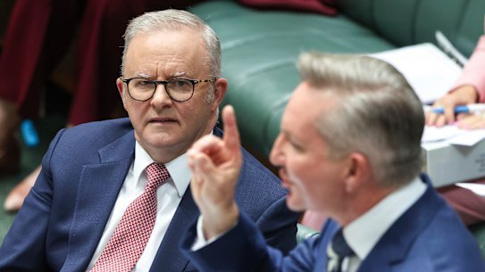 Prime Minister Anthony Albanese and Energy Minister Chris Bowen.