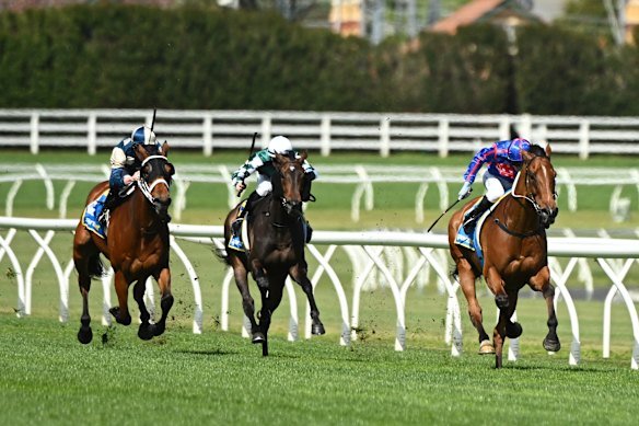Should winnings on the geegees be taxed? 