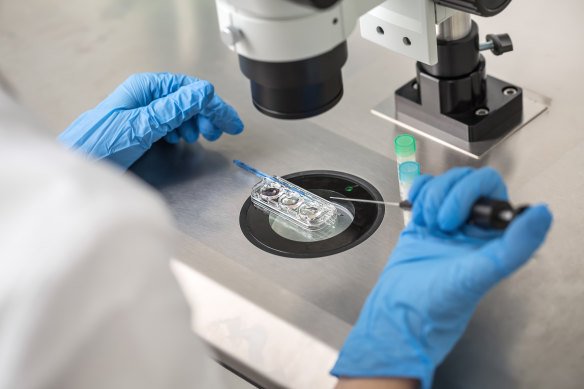 Monash has been accused of negligence in the IVF bungle.