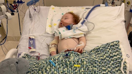 Gold Coast toddler Dustin Wildman remains in a critical condition after accidentally inhaling a decorative product used on cakes. 