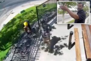 New Mexico distillery owner stunned by broad daylight theft of K fence: ‘Didn’t realize people steal fences’