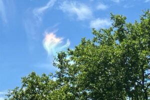 ‘Fire rainbow’ phenom spotted in the skies over NJ and MSG ‘Fire rainbow’ phenom spotted in the skies over NJ and MSG