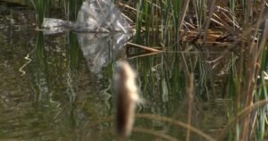 Calgary residents tired of barrage of trash from ‘garbage tornado’ Calgary residents tired of barrage of trash from ‘garbage tornado’