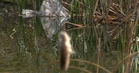 Calgary residents tired of barrage of trash from ‘garbage tornado’ Calgary residents tired of barrage of trash from ‘garbage tornado’