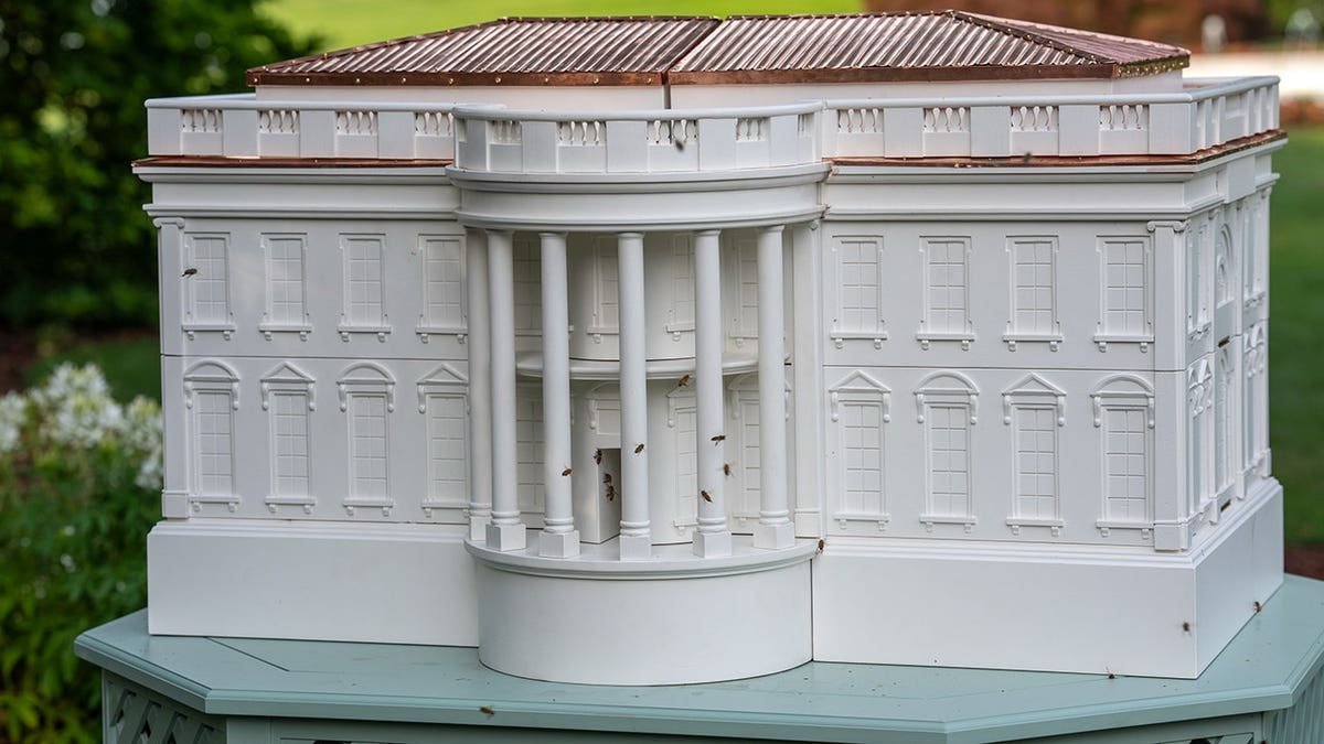 First Lady Melania Trump unveiling a new beehive on the White House South Lawn