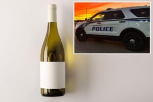 Michigan shoplifter rushed to hospital after hiding bottle of wine in her ‘body cavity’ Michigan shoplifter rushed to hospital after hiding bottle of wine in her ‘body cavity’