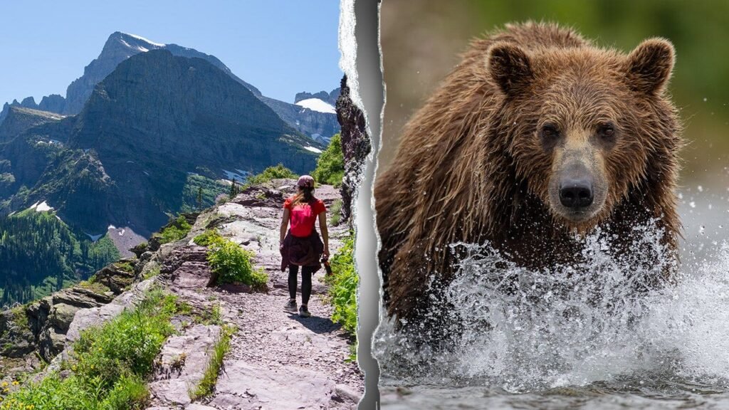 Body of missing hiker discovered off trail as investigators probe rare deadly bear encounter
