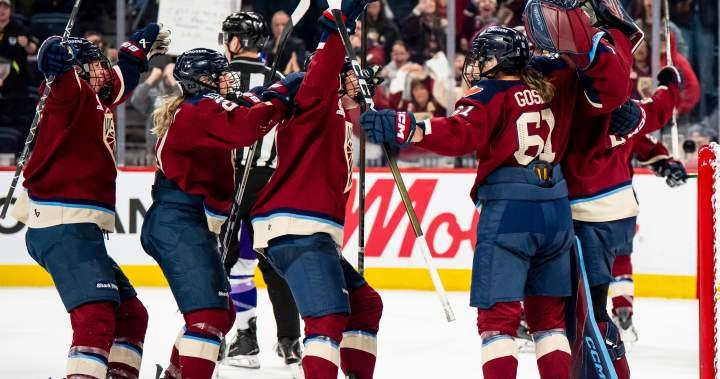 PWHL’s 1st all-Canadian final could boost girls’ participation in sport: advocates PWHL’s 1st all-Canadian final could boost girls’ participation in sport: advocates