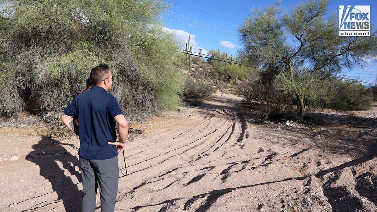 Bob Krygier searching a wash near Nancy Guthrie's home in Tucson, Arizona