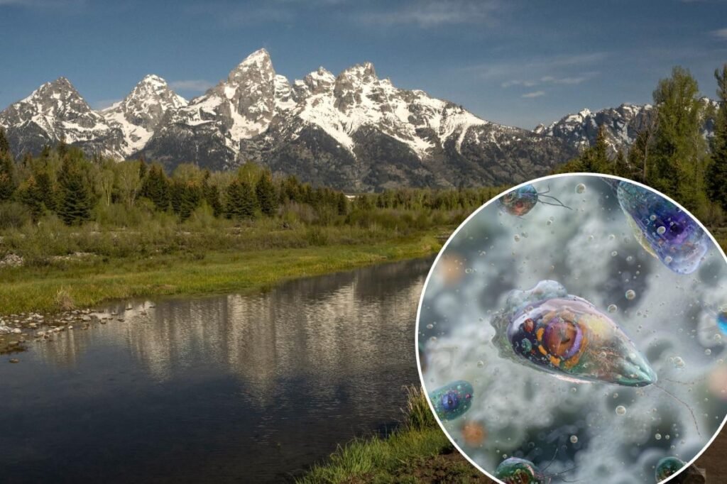 America’s favorite national parks are a cesspool of brain-eating amoebas: study
