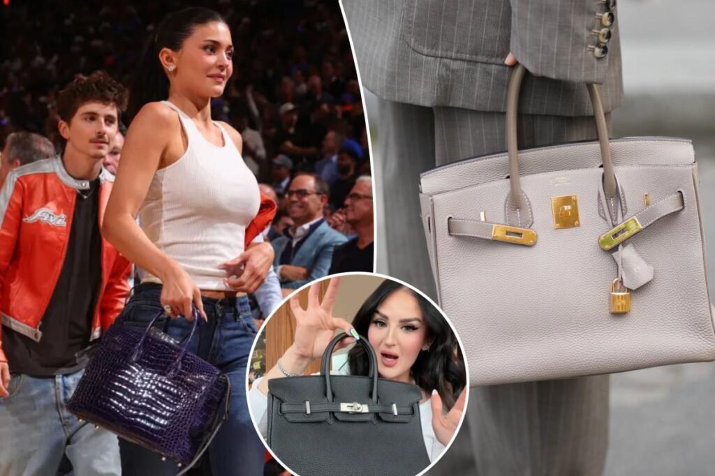 Fashionistas can rent a once-dare-to-dream Hermès Birkin bag — but critics wonder if the business model is a scheme