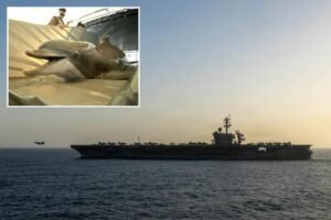 Iran eyeing mine-carrying dolphins to attack US warships in Strait of Hormuz