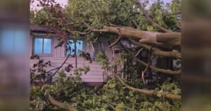 Canada has seen 8 tornadoes so far. How’s this season shaping up? Canada has seen 8 tornadoes so far. How’s this season shaping up?