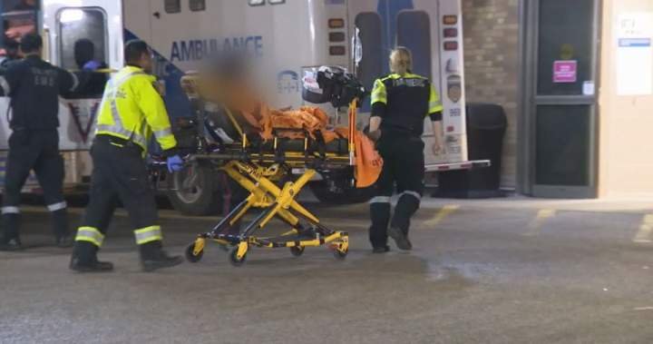 Escalating violence hurts paramedic mental health, retention, care: chief Escalating violence hurts paramedic mental health, retention, care: chief