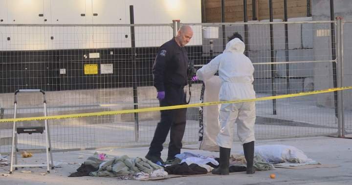 Bail hearing in Halifax newborn death case expected today Bail hearing in Halifax newborn death case expected today