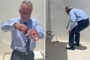 RFK Jr. snatches two black racer snakes off Dr. Oz’s patio in bonkers video RFK Jr. snatches two black racer snakes off Dr. Oz’s patio in bonkers video