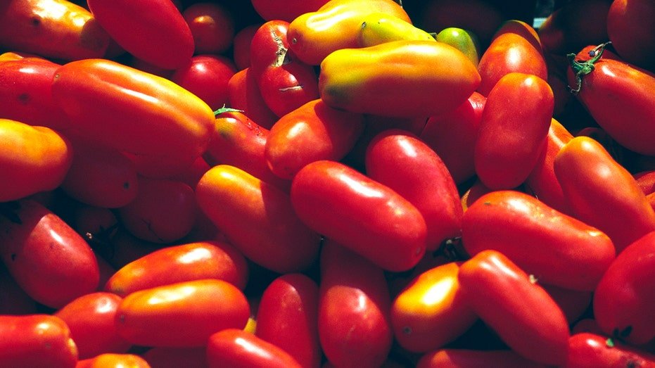 San Marzano tomatoes are pictured in Campania, Italy.