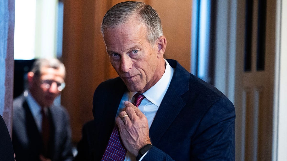 Senate Majority Leader John Thune walking inside the U.S. Capitol