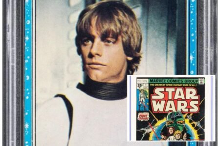 Luke Skywalker bubblegum card sells for over 0K