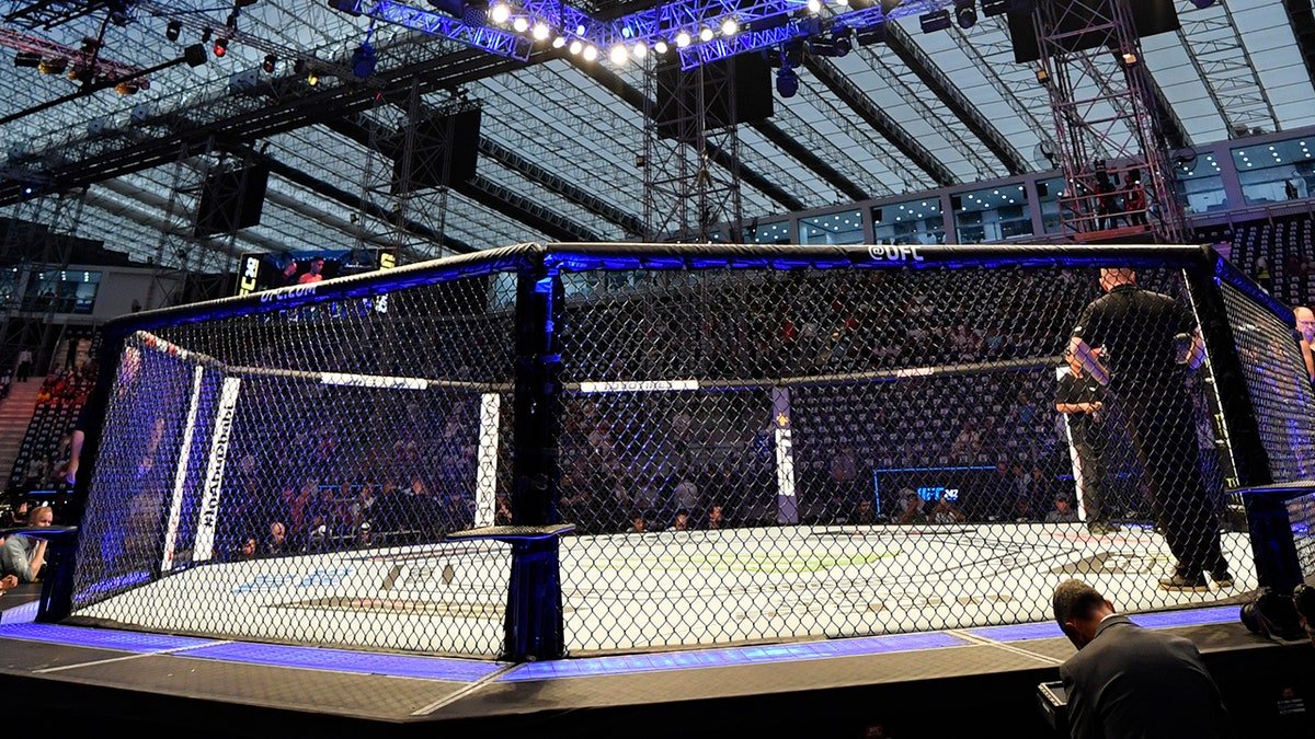 A general view of the UFC Octagon inside The Arena in Abu Dhabi during UFC 242