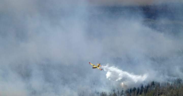 As wildfire season nears, Canada leasing 10 new firefighting aircraft As wildfire season nears, Canada leasing 10 new firefighting aircraft