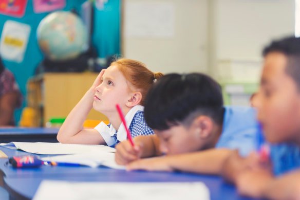The study covered 59 schools, most of which were primary schools.