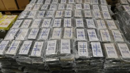 Does the EU have a drug problem? Take our poll