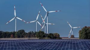 ‘Europe should evolve its carbon market, not dilute it,’ investors say ‘Europe should evolve its carbon market, not dilute it,’ investors say