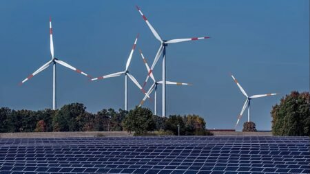 ‘Europe should evolve its carbon market, not dilute it,’ investors say ‘Europe should evolve its carbon market, not dilute it,’ investors say