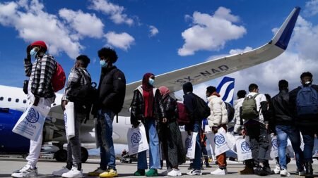 Why Europe’s labour needs clash with its migration policy Why Europe’s labour needs clash with its migration policy