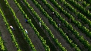 France adapts as extreme heat becomes the new norm France adapts as extreme heat becomes the new norm