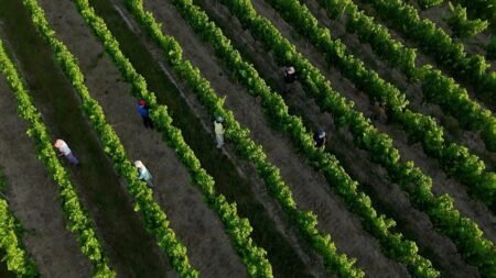 France adapts as extreme heat becomes the new norm France adapts as extreme heat becomes the new norm