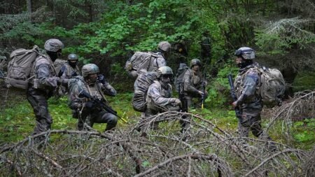 France testing AI battlefield system in NATO excercise France testing AI battlefield system in NATO excercise