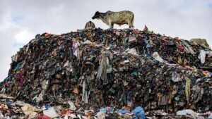 EU seizes 4,200 tonnes of illegal textile waste from Italy in Turkey