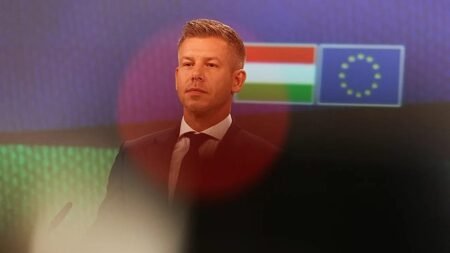 What Germany expects from Hungary as Magyar visits Merz What Germany expects from Hungary as Magyar visits Merz