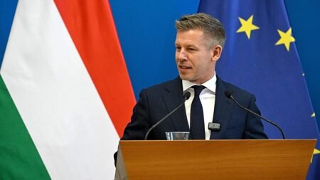 Magyar’s EU summit debut signals Hungarian reset after change of guard Magyar’s EU summit debut signals Hungarian reset after change of guard