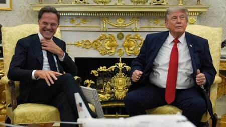 Rutte defends NATO allies as Trump says he was ‘let down’ on Iran