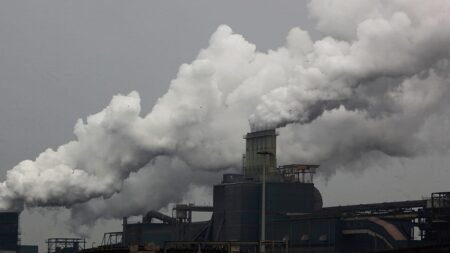 Portugal urges Brussels to rethink free carbon allowances cut Portugal urges Brussels to rethink free carbon allowances cut