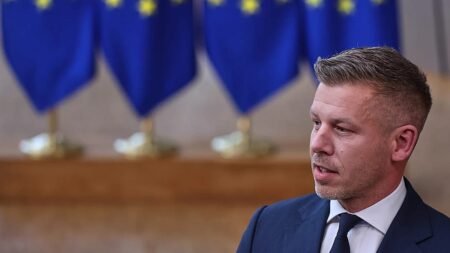 EU Commission approves Hungary’s revised €10bn recovery plan EU Commission approves Hungary’s revised €10bn recovery plan