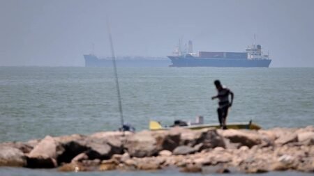 Shipping industry wary of resuming Strait of Hormuz navigation Shipping industry wary of resuming Strait of Hormuz navigation