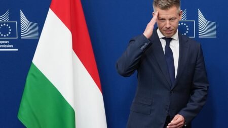 Hungary’s Péter Magyar heads Berlin and Paris to seal EU reset Hungary’s Péter Magyar heads Berlin and Paris to seal EU reset