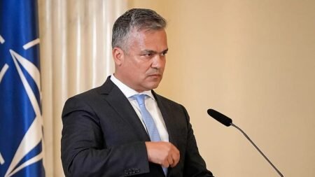 Romanian president nominates Adrian Vestea as prime minister Romanian president nominates Adrian Vestea as prime minister