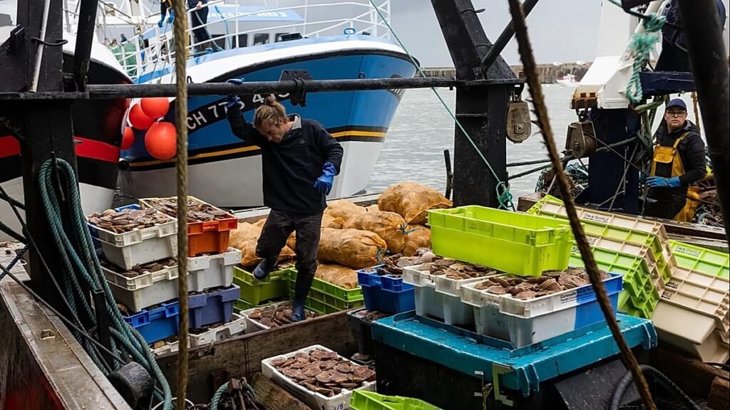 French fishermen gather in Cherbourg as sector faces challenges French fishermen gather in Cherbourg as sector faces challenges